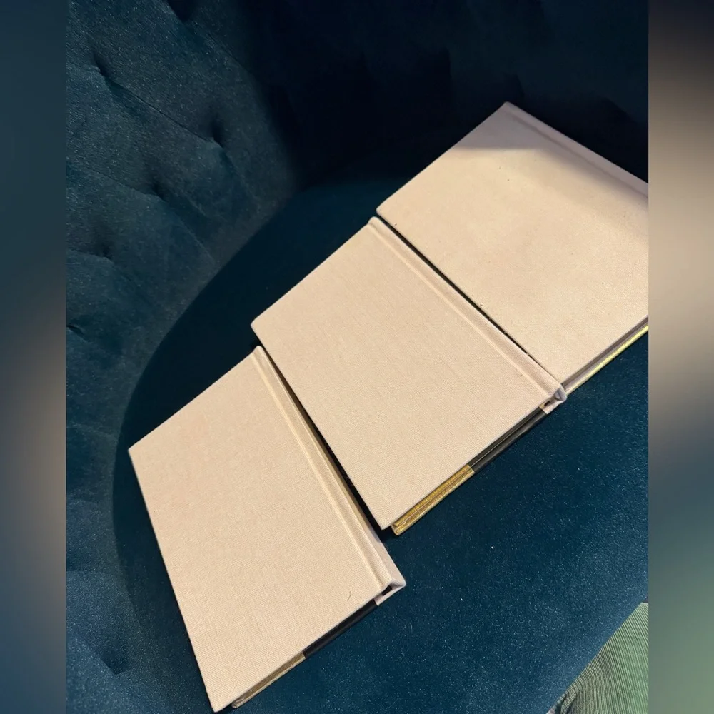 Dwell Studio Gold Leaf Gilt Edge Dot Grid Gold Light Pink Set of 3 Journals NEW